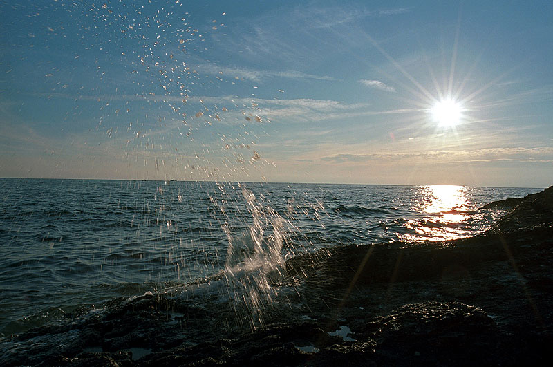 7439_10.jpg